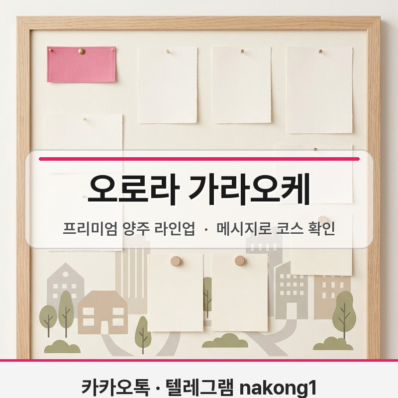 호치민 오로라 가라오케 가격 고급 양주