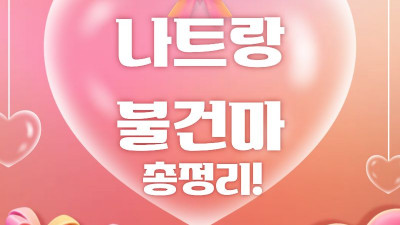 나트랑 불건마 총정리 – 나트랑 불건마 핵심 가이드