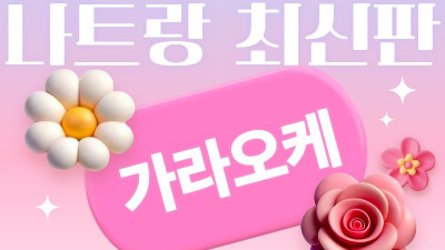 나트랑 가라오케 가격 얼마 들까 현실 비용 총정리 2026