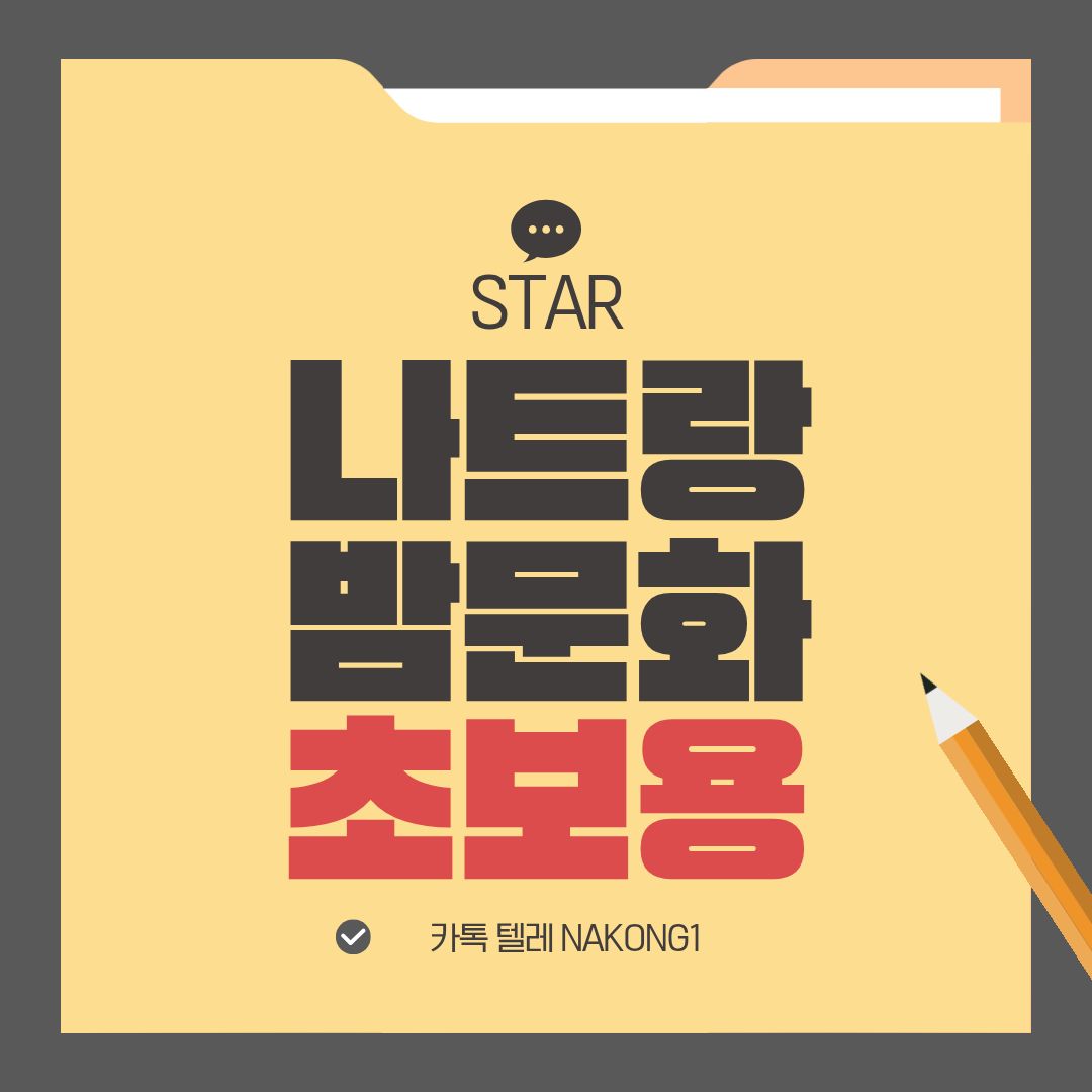 나트랑 밤문화 초보용이라고 크게 적힌 노란 서류철 모양 표지